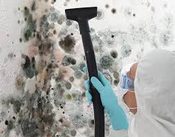 Best Commercial Mold Inspection in Jefferson, IA